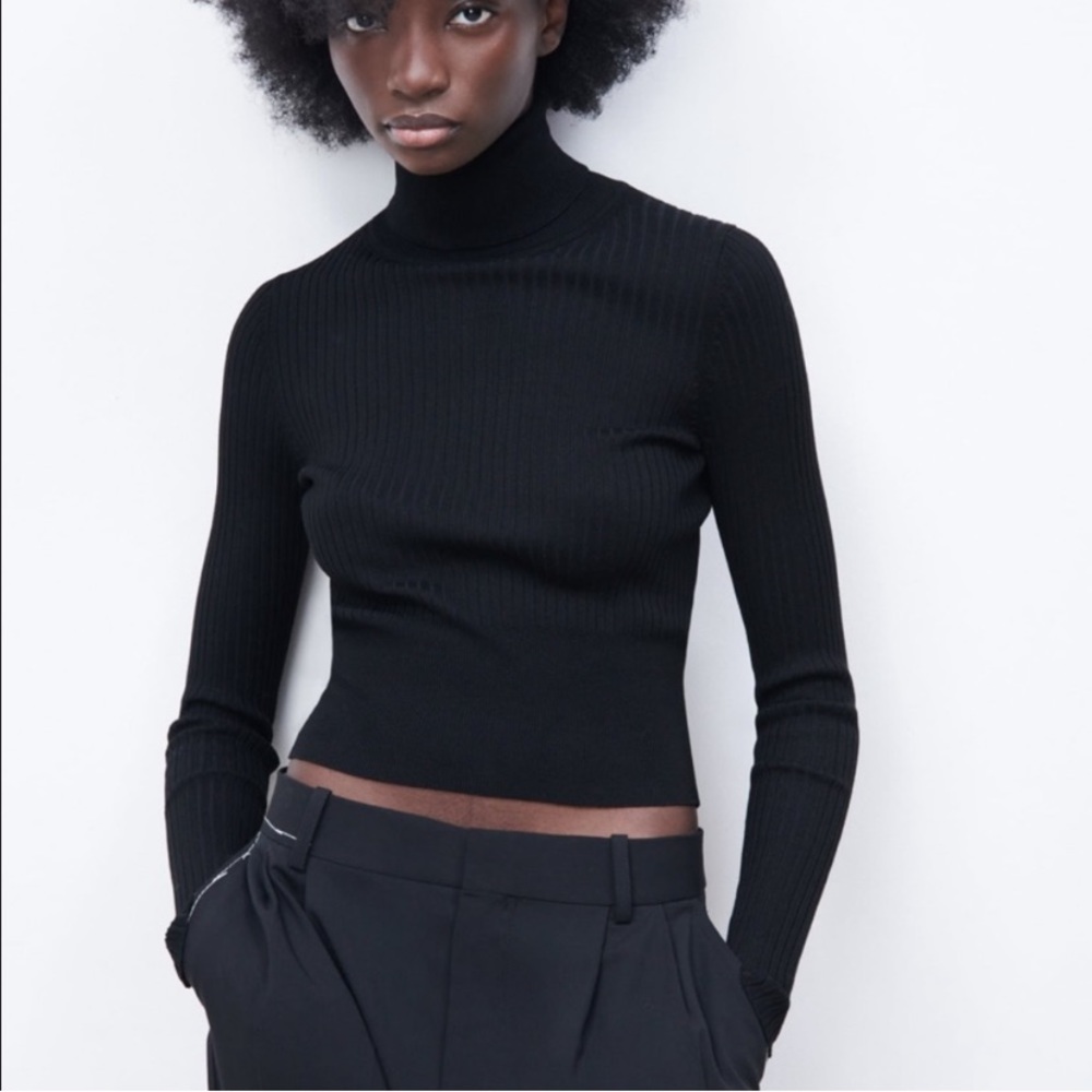 Zara Ribbed Knit Sweater